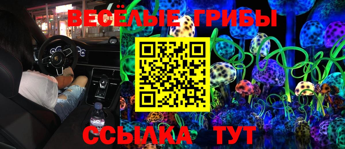 Галлюциногенные грибы Cubensis  Вход с VPN  Сердобск 