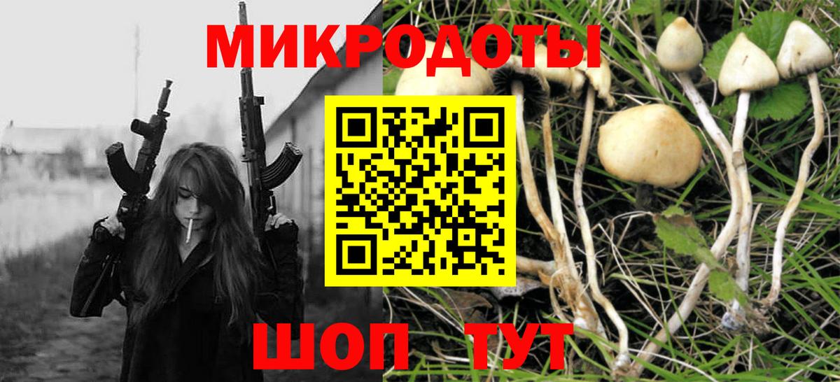 Псилоцибиновые грибы GOLDEN TEACHER Сердобск